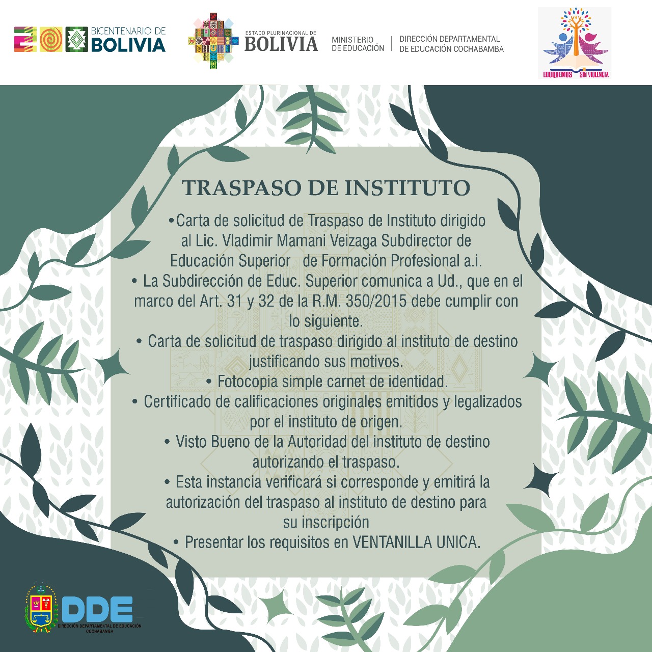 Imagen 15